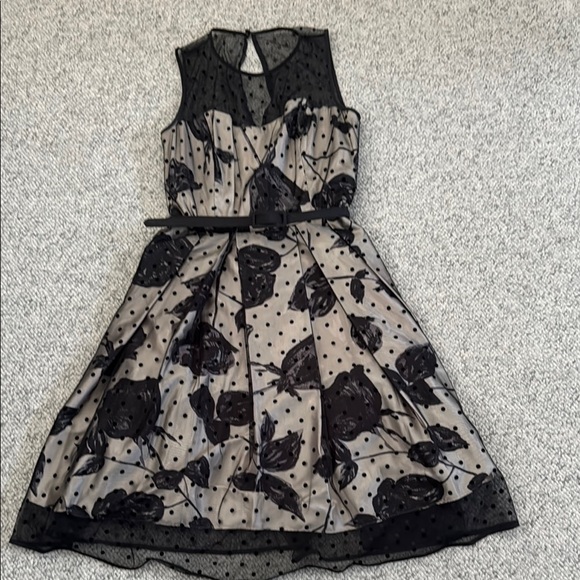 ⚡️HP⚡️Polka Dot Mesh Print  Fit and Flare Dress - Picture 2 of 16